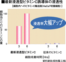 ビタミンC誘導体の浸透力
